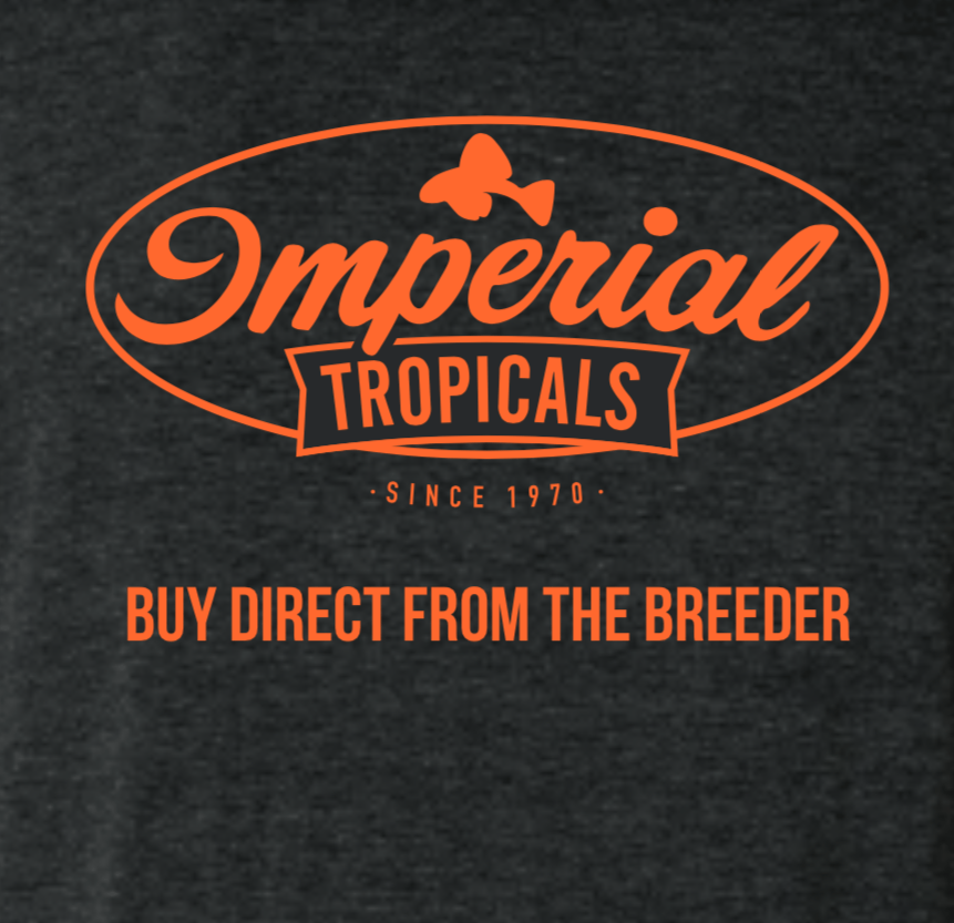 Vintage Black Imperial Tropicals Short Sleeve T-Shirt